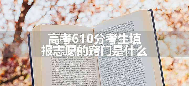 高考610分考生填报志愿的窍门是什么