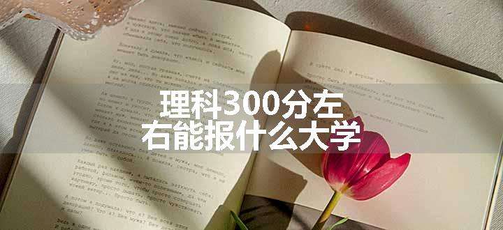 理科300分左右能报什么大学