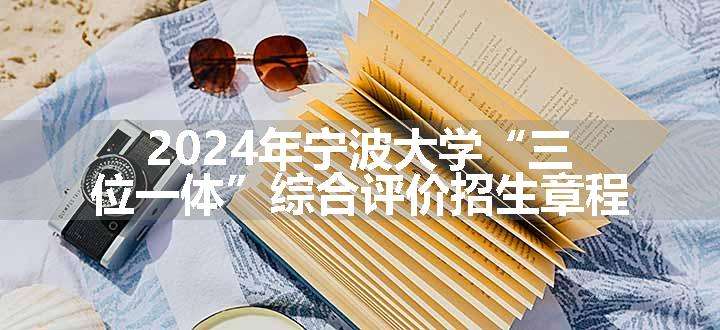 2024年宁波大学“三位一体”综合评价招生章程