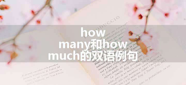 how many和how much的双语例句