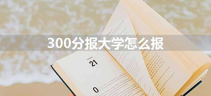 300分报大学怎么报