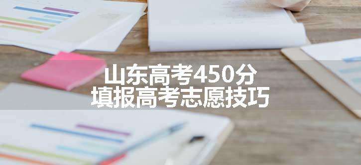 山东高考450分填报高考志愿技巧