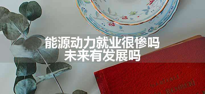 能源动力就业很惨吗 未来有发展吗