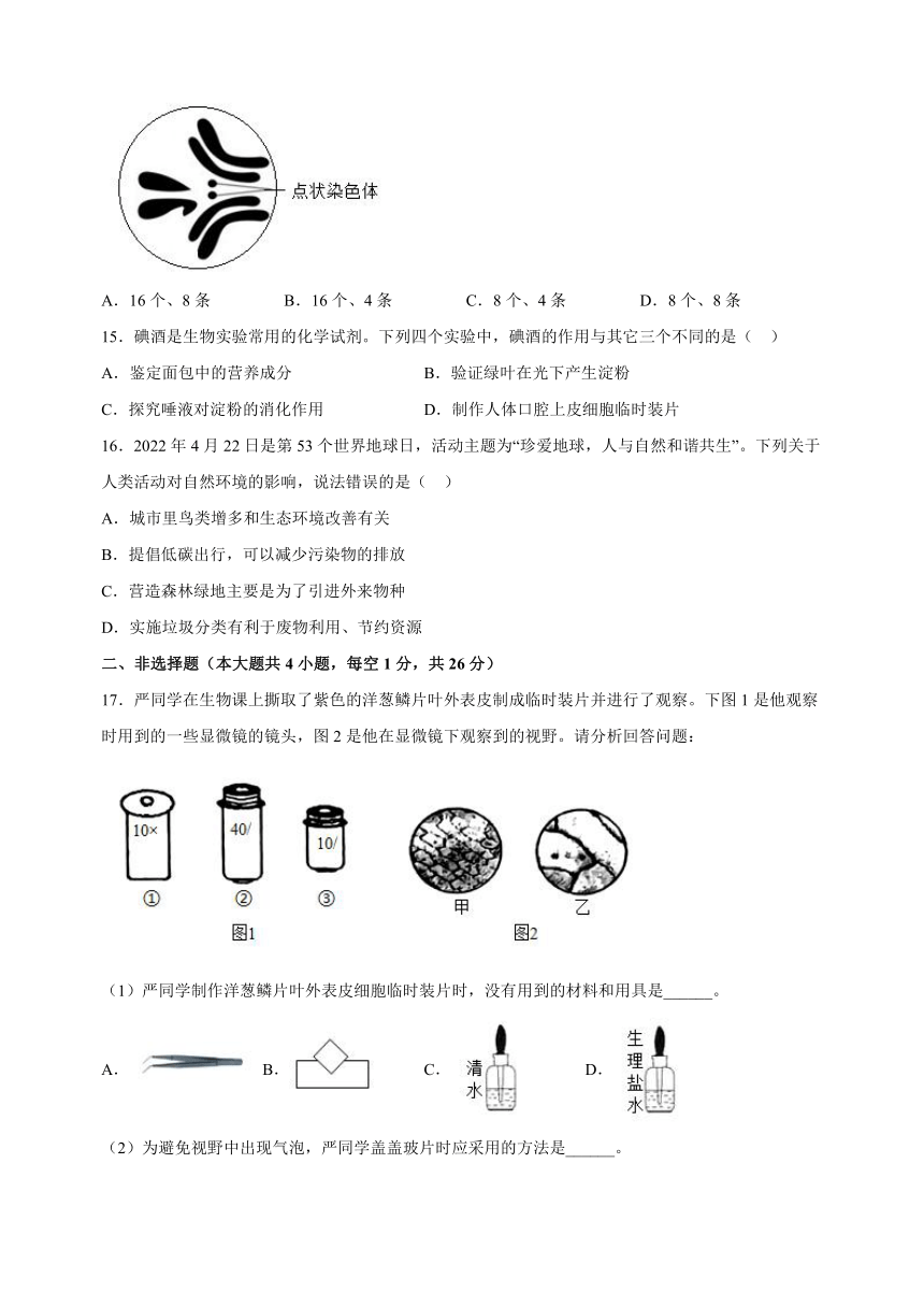 江苏省南通市崇川区2022-2023学年七年级上学期期末生物试卷（含解析）