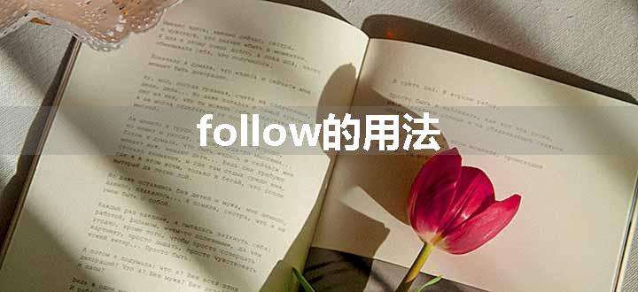 follow的用法