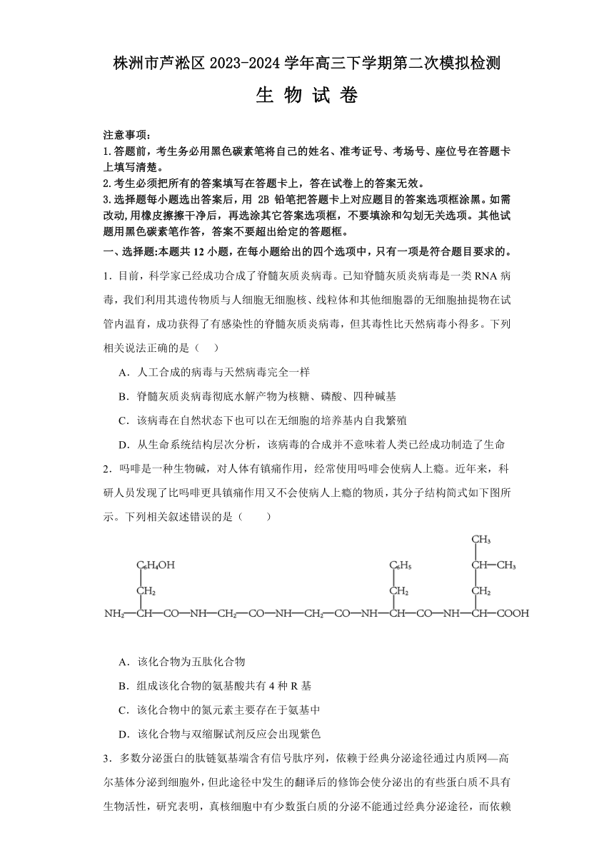 湖南省株洲市芦淞区2023-2024学年高三下学期第二次模拟检测生物学试题（含答案）