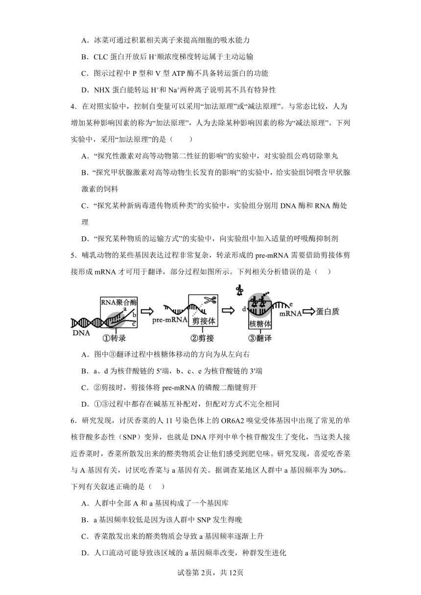 2024届湖南省长沙市长郡中学高三高考适应性考试（二）生物试题（含解析）