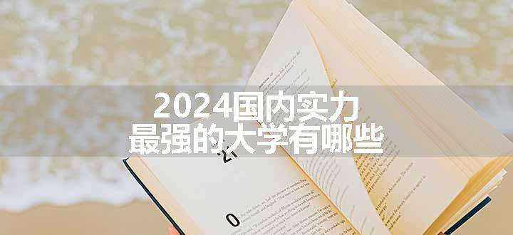 2024国内实力最强的大学有哪些