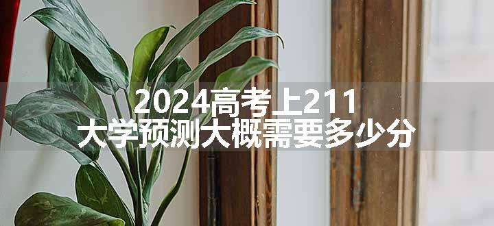 2024高考上211大学预测大概需要多少分