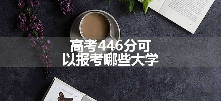 高考446分可以报考哪些大学