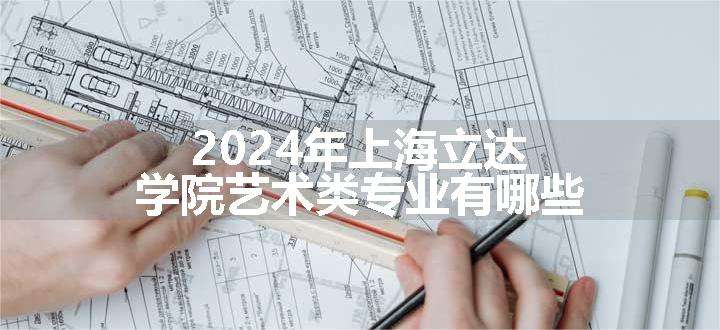 2024年上海立达学院艺术类专业有哪些