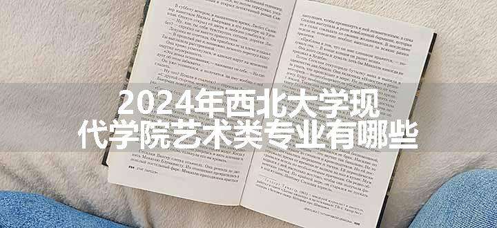 2024年西北大学现代学院艺术类专业有哪些