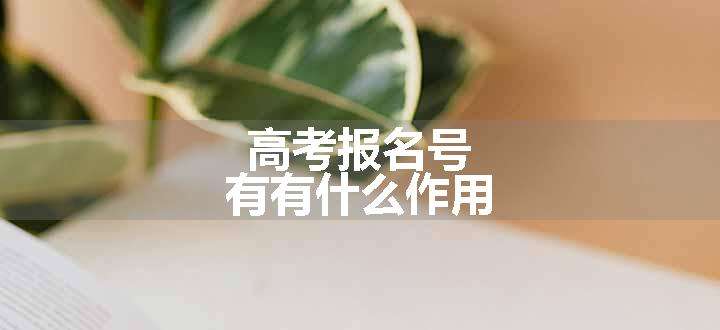 高考报名号有有什么作用