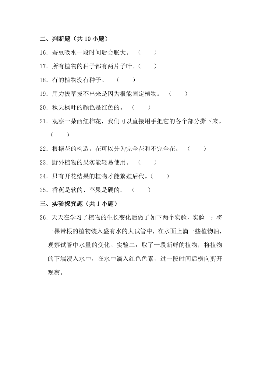 2023-2024学年三年级科学下学期期中专项复习（苏教版）第一单元植物的一生（含解析答案）