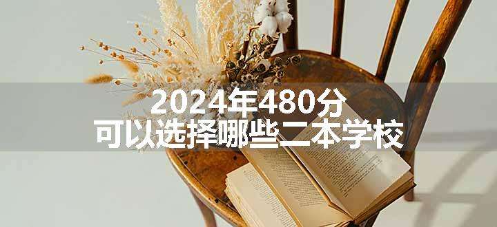 2024年480分可以选择哪些二本学校