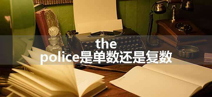 the police是单数还是复数