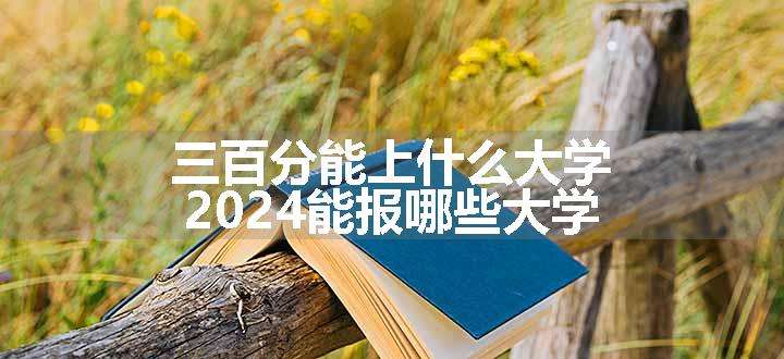 三百分能上什么大学 2024能报哪些大学