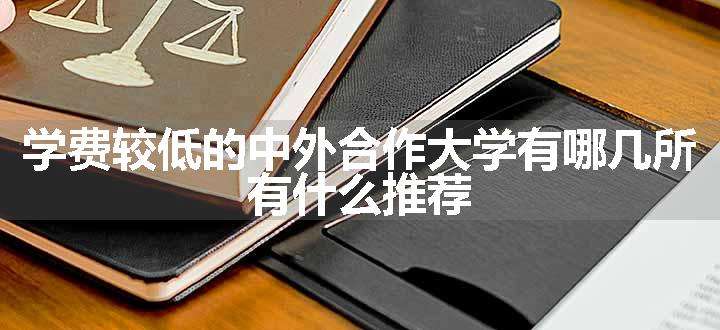 学费较低的中外合作大学有哪几所 有什么推荐