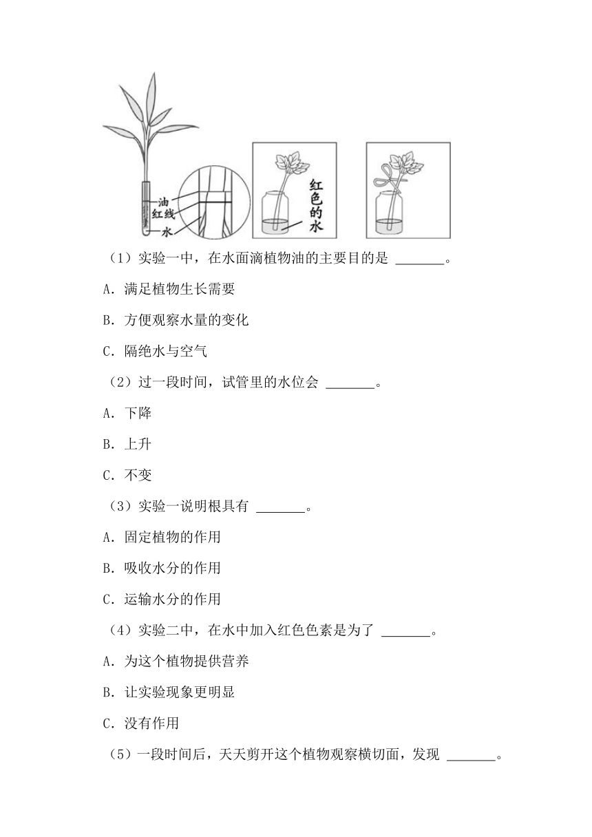 2023-2024学年三年级科学下学期期中专项复习（苏教版）第一单元植物的一生（含解析答案）