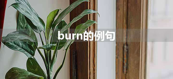 burn的例句