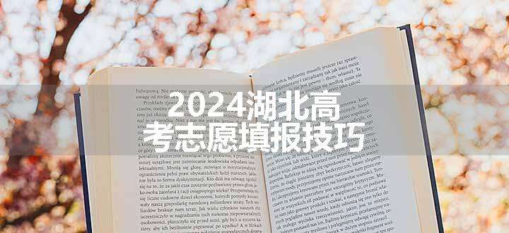 2024湖北高考志愿填报技巧