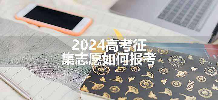 2024高考征集志愿如何报考