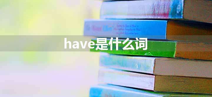 have是什么词