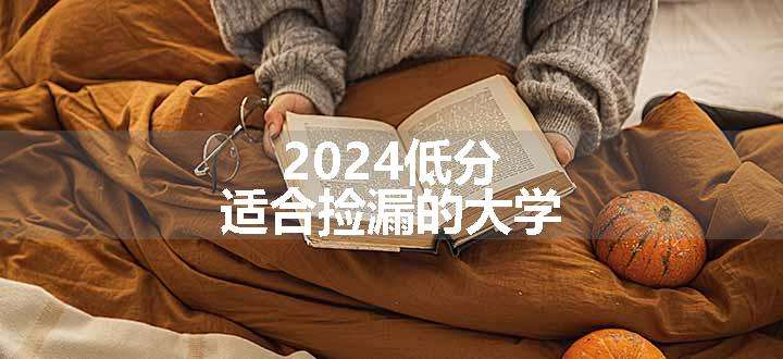 2024低分适合捡漏的大学