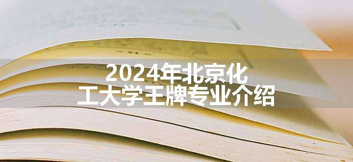 2024年北京化工大学王牌专业介绍