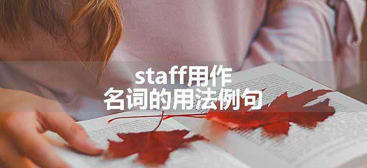 staff用作名词的用法例句