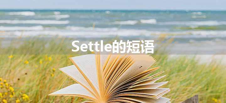 Settle的短语