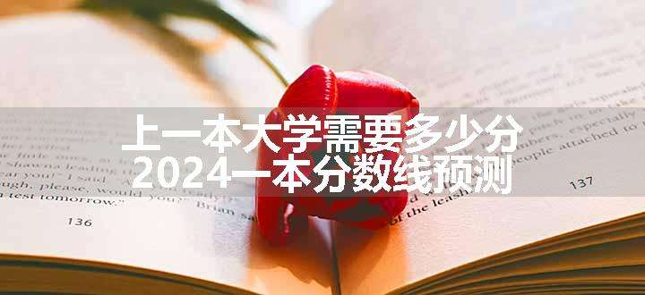 上一本大学需要多少分 2024一本分数线预测