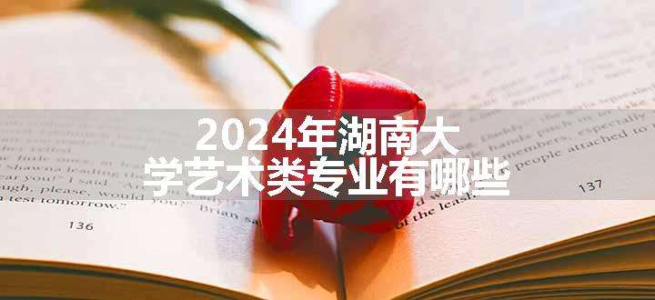 2024年湖南大学艺术类专业有哪些