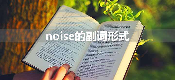 noise的副词形式