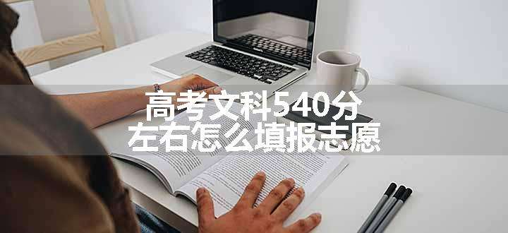 高考文科540分左右怎么填报志愿