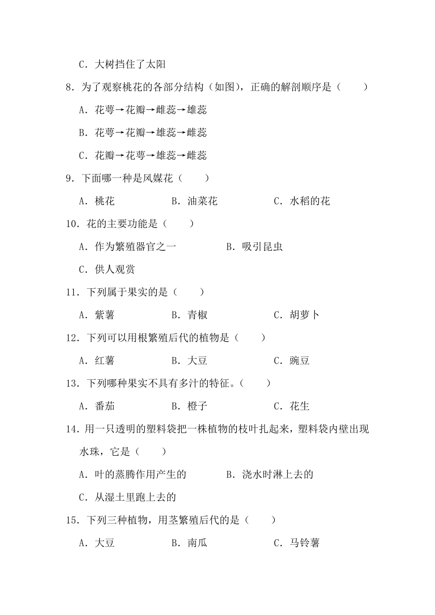 2023-2024学年三年级科学下学期期中专项复习（苏教版）第一单元植物的一生（含解析答案）