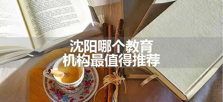 沈阳哪个教育机构最值得推荐