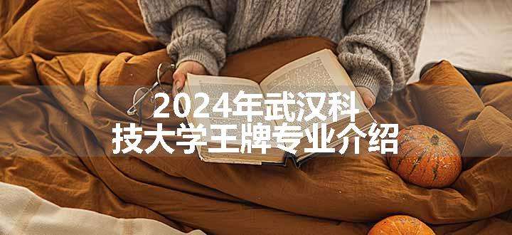 2024年武汉科技大学王牌专业介绍