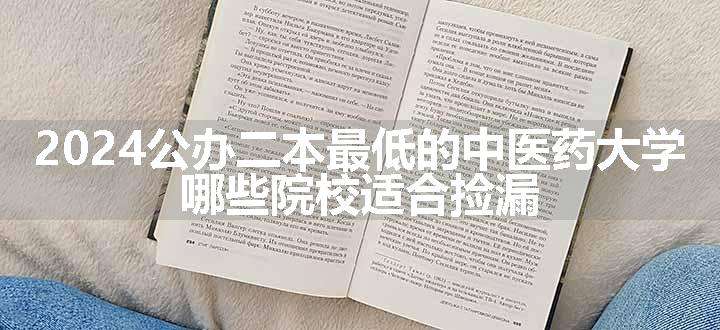 2024公办二本最低的中医药大学 哪些院校适合捡漏