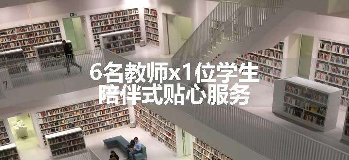 6名教师x1位学生，陪伴式贴心服务