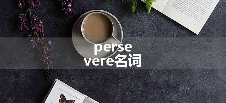 persevere名词.jpg