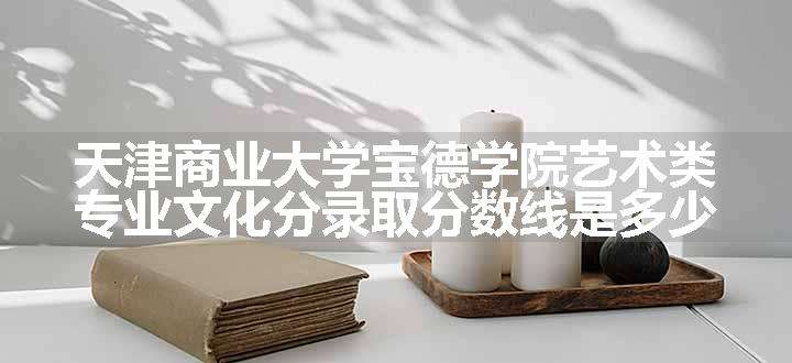 天津商业大学宝德学院艺术类专业文化分录取分数线是多少