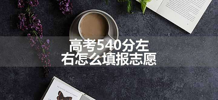 高考540分左右怎么填报志愿