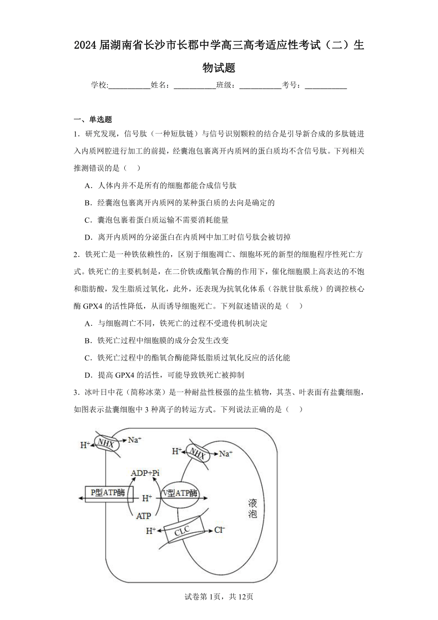 2024届湖南省长沙市长郡中学高三高考适应性考试（二）生物试题（含解析）