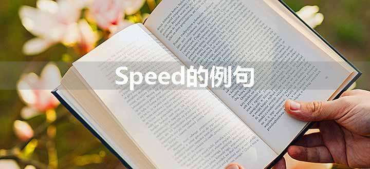 Speed的例句