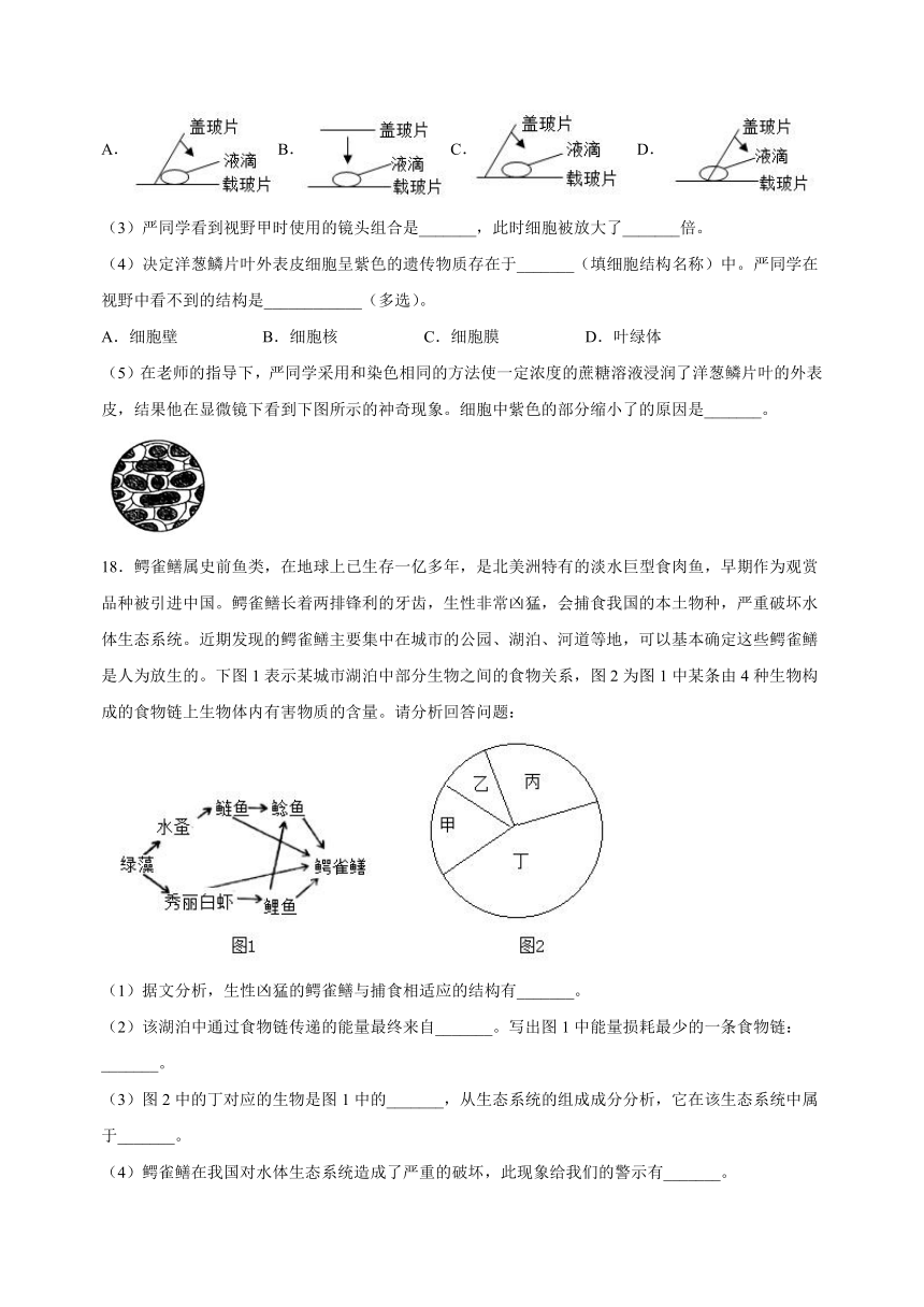 江苏省南通市崇川区2022-2023学年七年级上学期期末生物试卷（含解析）