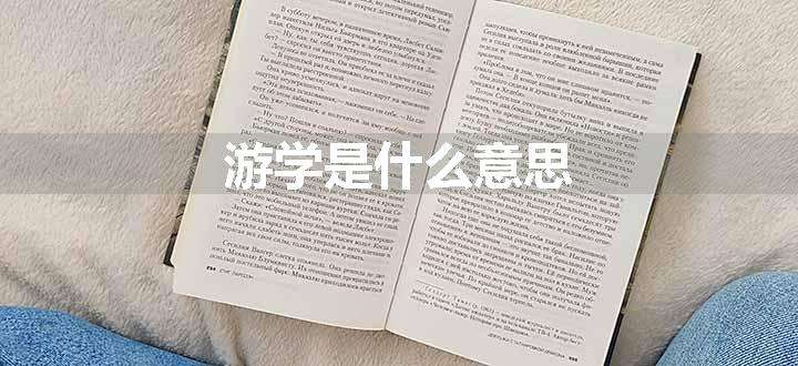 游学是什么意思