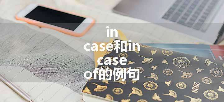 in case和in case of的例句