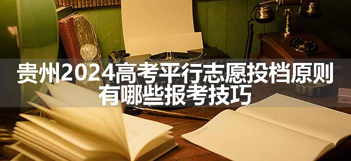 贵州2024高考平行志愿投档原则 有哪些报考技巧