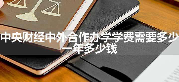 中央财经中外合作办学学费需要多少 一年多少钱